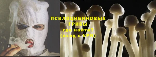 прущая мука Вязники