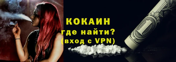 ПСИЛОЦИБИНОВЫЕ ГРИБЫ Вяземский