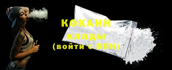 ПСИЛОЦИБИНОВЫЕ ГРИБЫ Вяземский