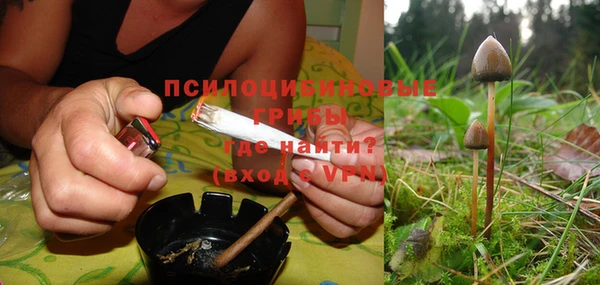 прущая мука Вязники