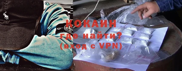 ПСИЛОЦИБИНОВЫЕ ГРИБЫ Вяземский