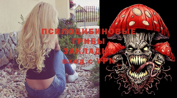 ПСИЛОЦИБИНОВЫЕ ГРИБЫ Вяземский