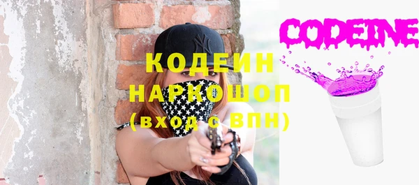 ПСИЛОЦИБИНОВЫЕ ГРИБЫ Вяземский