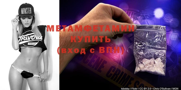 ПСИЛОЦИБИНОВЫЕ ГРИБЫ Вяземский