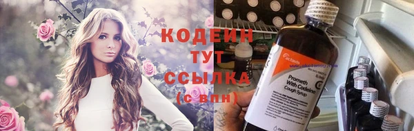 ПСИЛОЦИБИНОВЫЕ ГРИБЫ Вяземский