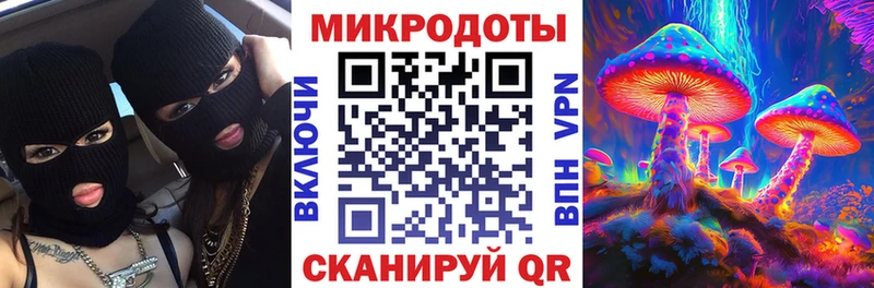 Купить  Власиха  Галлюциногенные грибы Psilocybine cubensis 